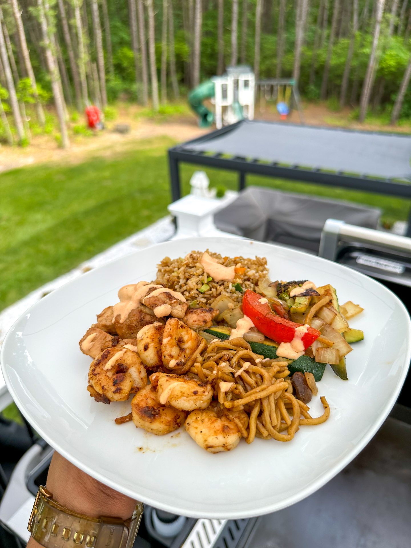 Hibachi plate with proteins and sides